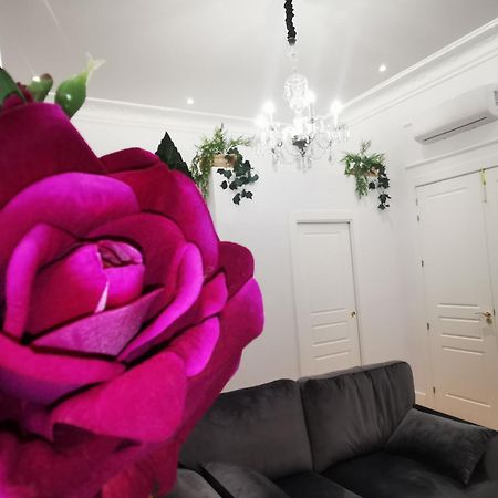 Rua Suites Boutique Salamanca Ruang foto
