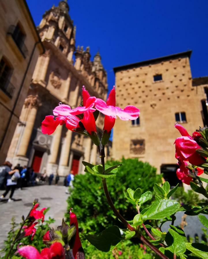 Rua Suites Boutique Salamanca Bagian luar foto